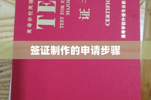 济南签证制作的申请步骤