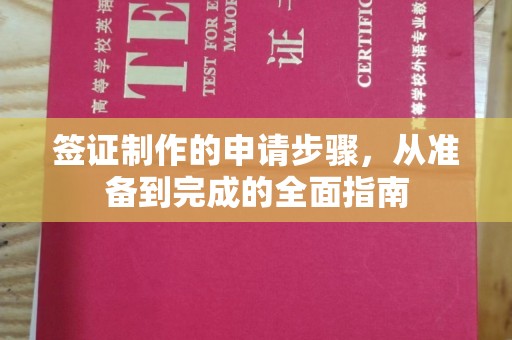 济南签证制作的申请步骤，从准备到完成的全面指南