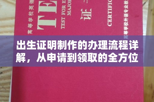 济南出生证明制作的办理流程详解，从申请到领取的全方位指南