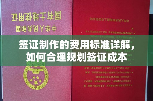 济南签证制作的费用标准详解，如何合理规划签证成本