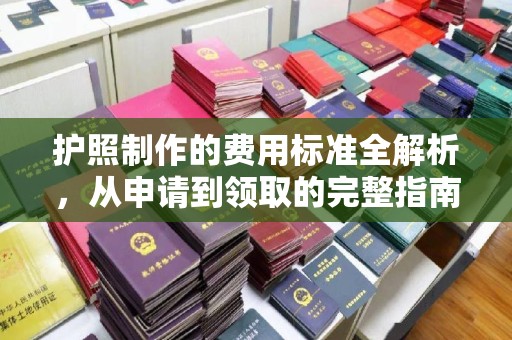 济南护照制作的费用标准全解析，从申请到领取的完整指南